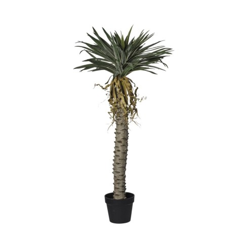 PIANTA YUCCA CON 105 FOGLIE CM128